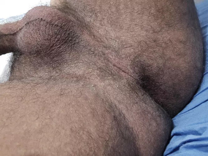 Can i sit in your face ? by zyluukuro