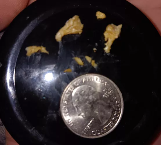 Even with regular ent cleanings, I pull this out of my kids (7yo) at least once a month.  by DJTHatesNaggers