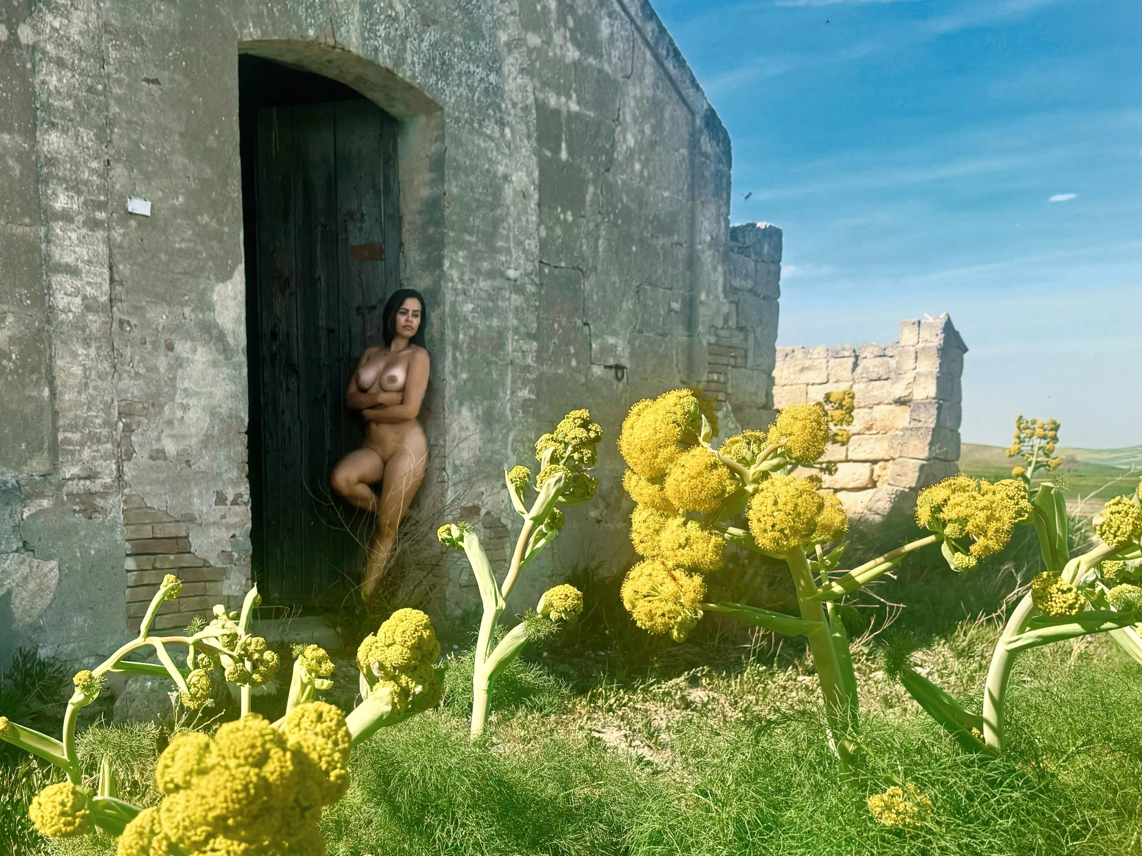 Found an abandoned building out in a field! posted by AdventureJuntos