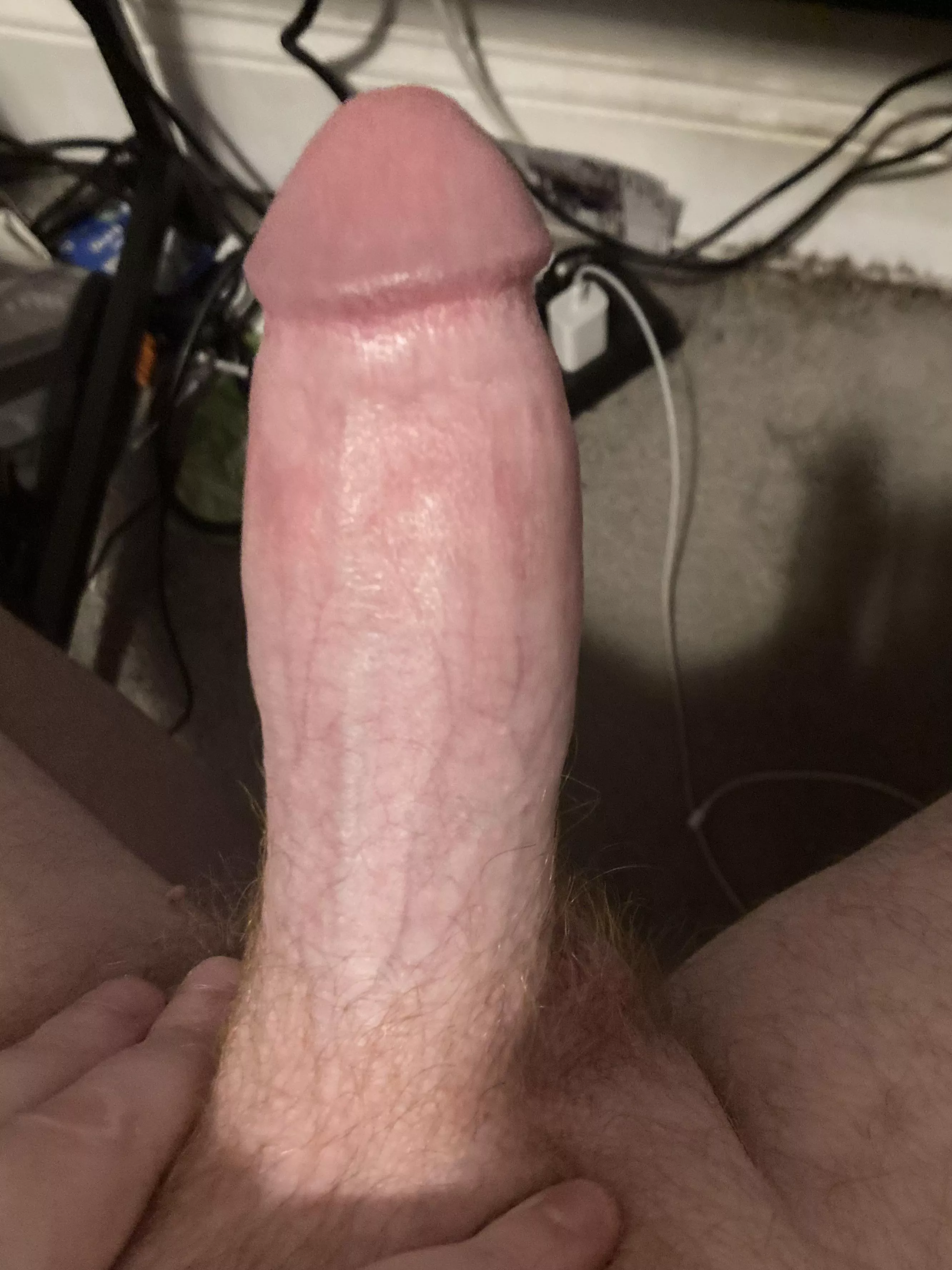 Hard and Bored posted by sartorialwhimsy