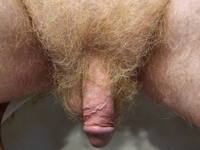 Here ya go by chastityshaver