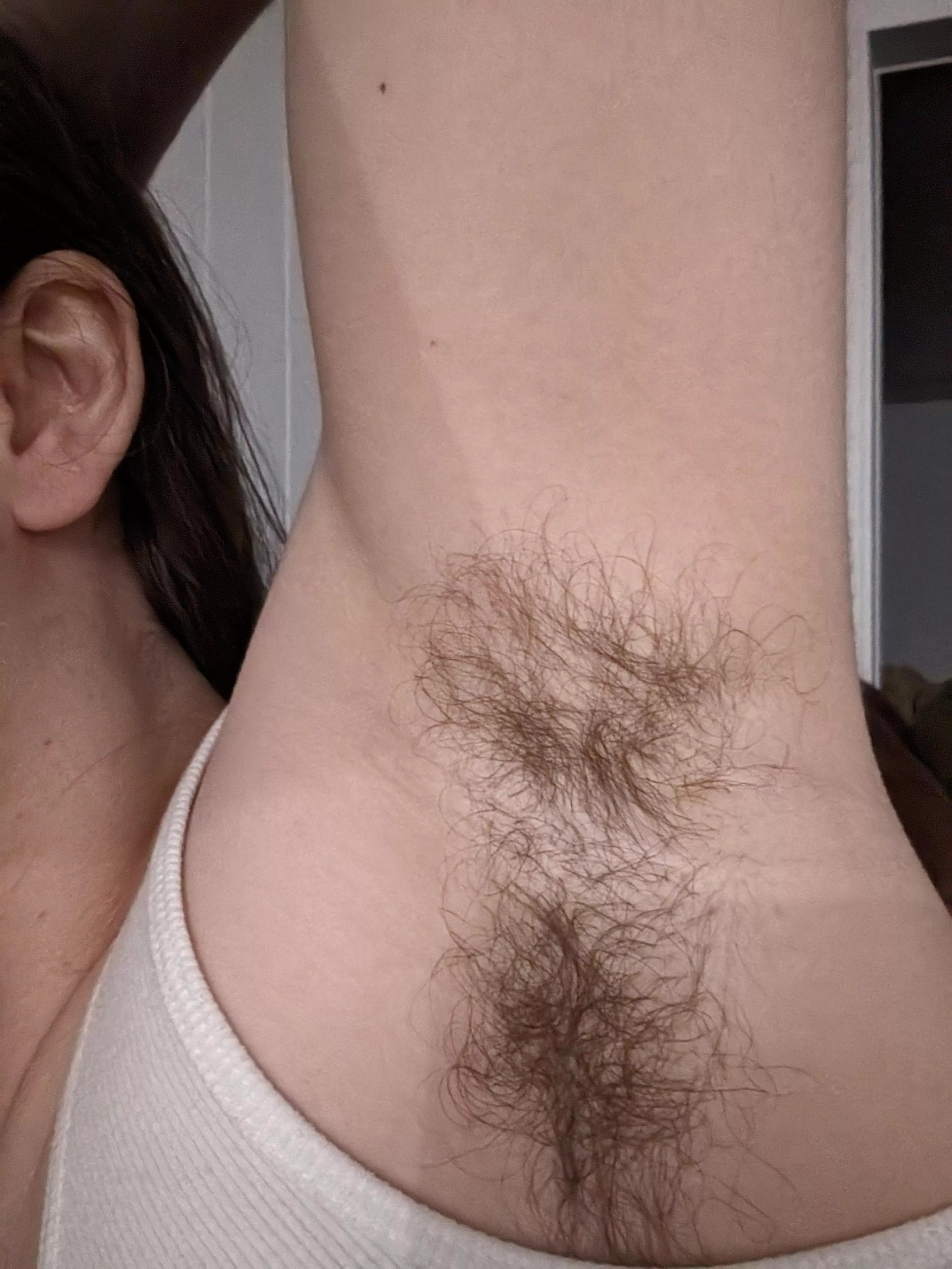 I love girls with hairy pits.. these are mine  posted by SisterSleeze