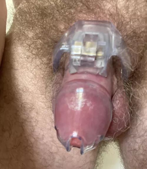 Locked again by TorchwoodCF2