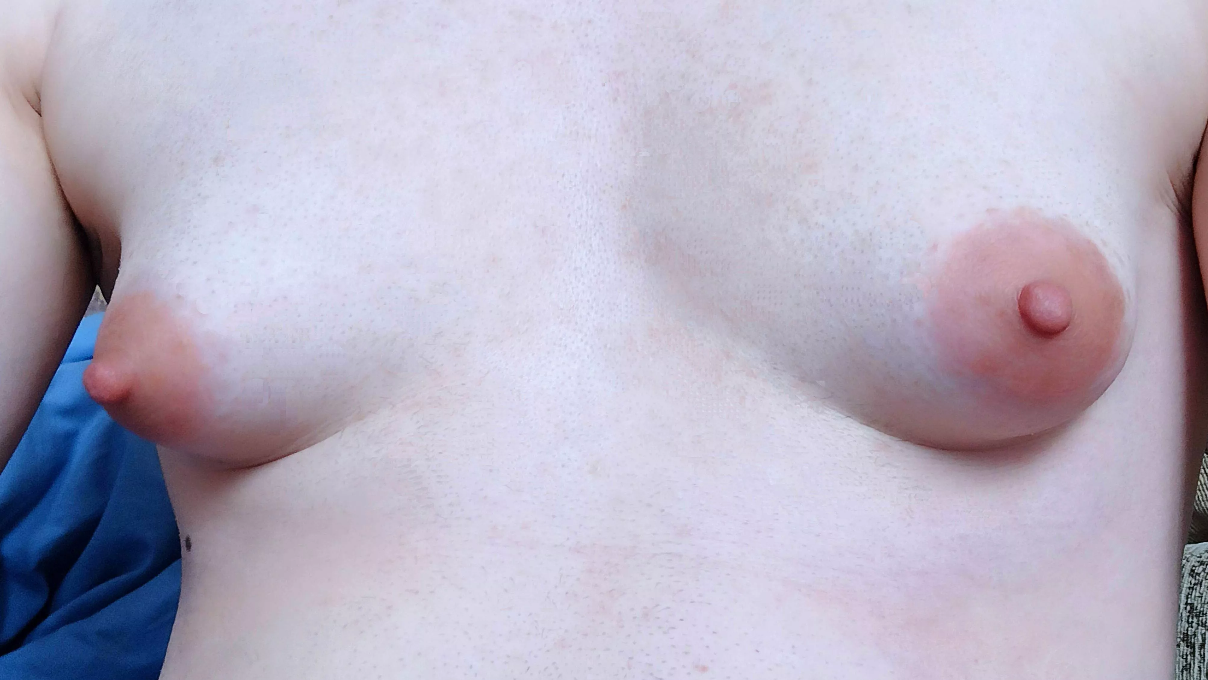 Love my small hanging udders🥰 posted by cummy-cow