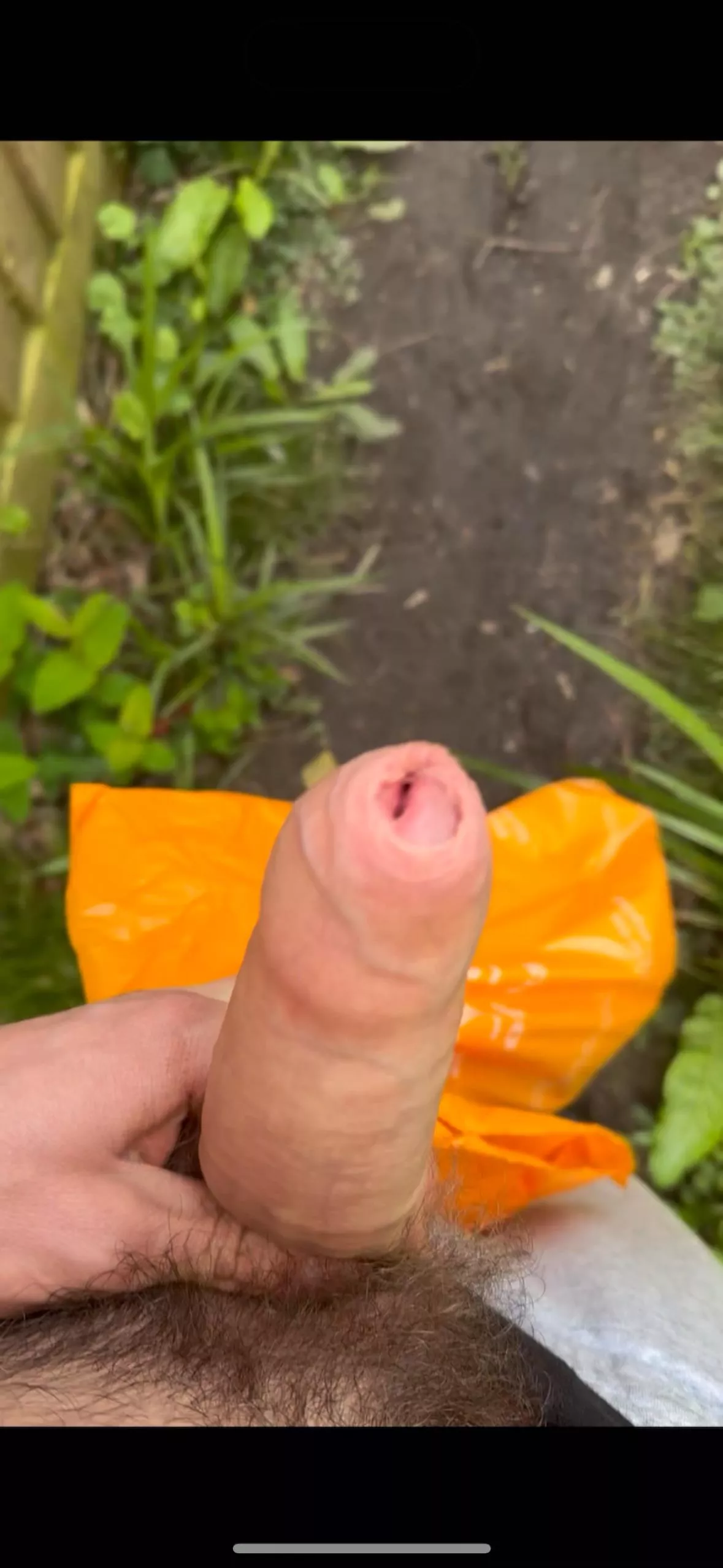 Public foot bath semi posted by Brilliant_Pie_4524