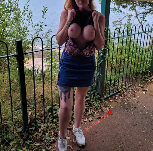 Rules for dog walkers. If you let pet your dog I'll show you my boobs by MrsRepsOG