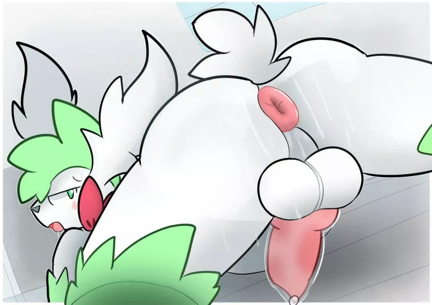 Shaymin presenting and in need [M] (sparkmelon) posted by Mattebroilerius