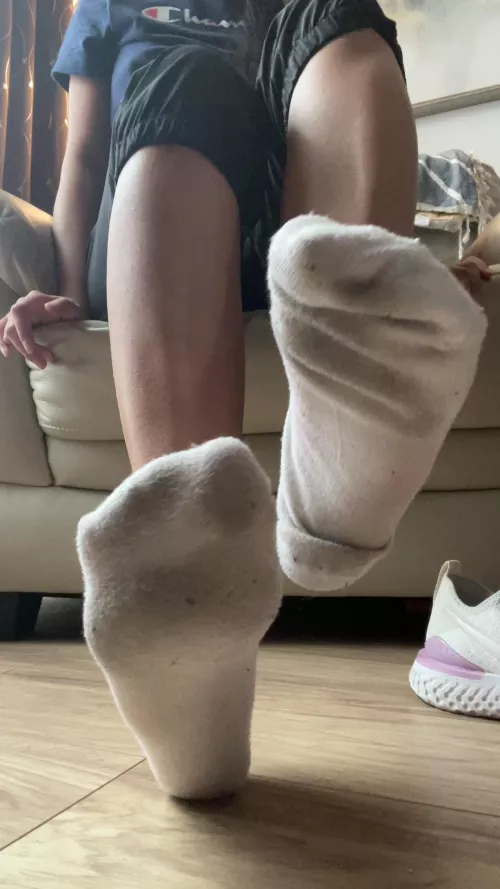 So smelly you can feel them scent right there 💜 [Selling][US] by Silly-Asian-Kitty