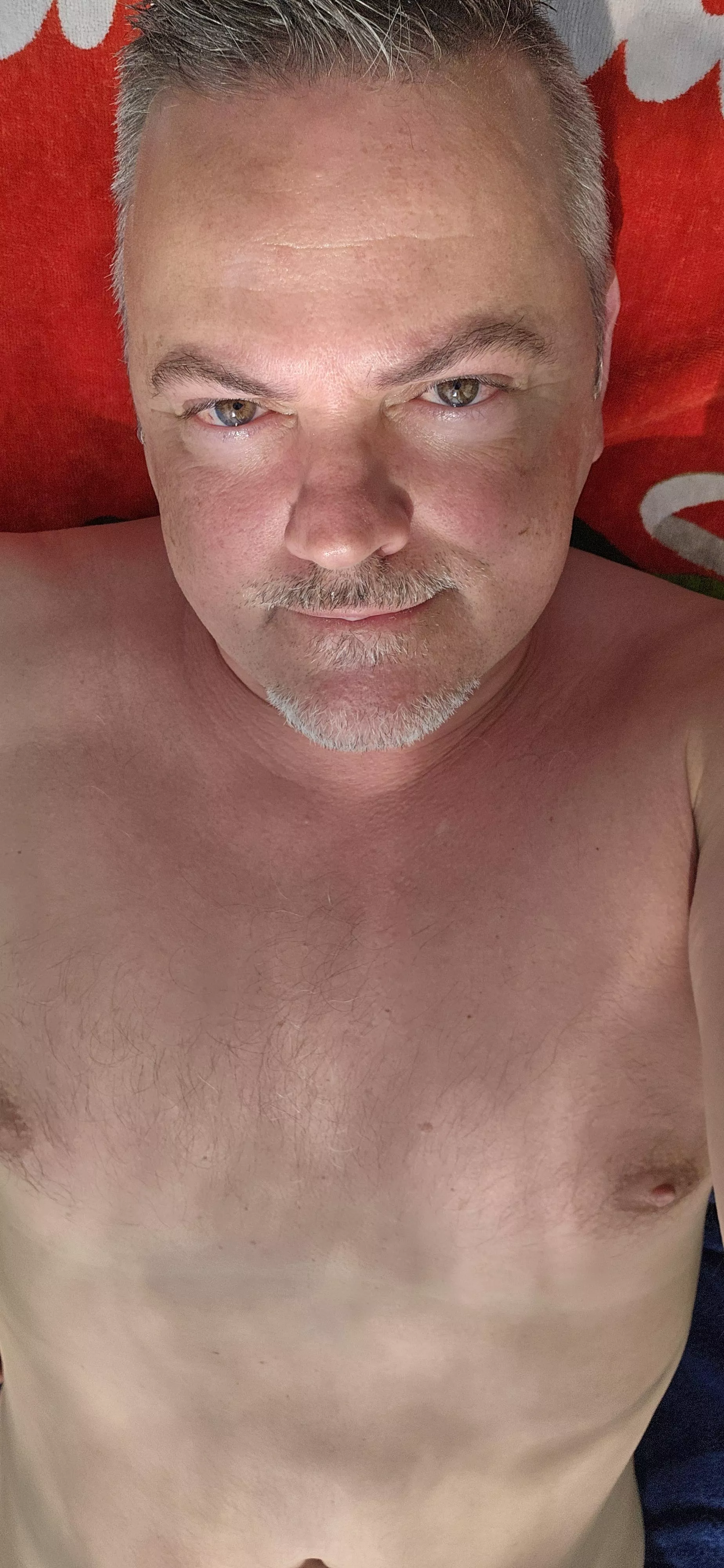 Sunbathing in the middle of April, very convenient for me posted by HEMM0