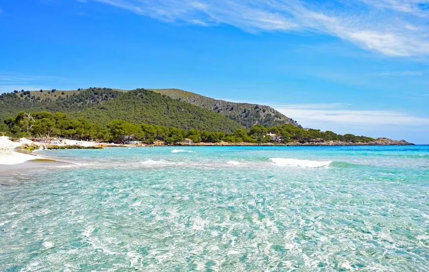 Turkey posted by jencooper100