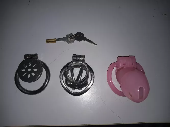 Which one should be my forever home? by __Insano__