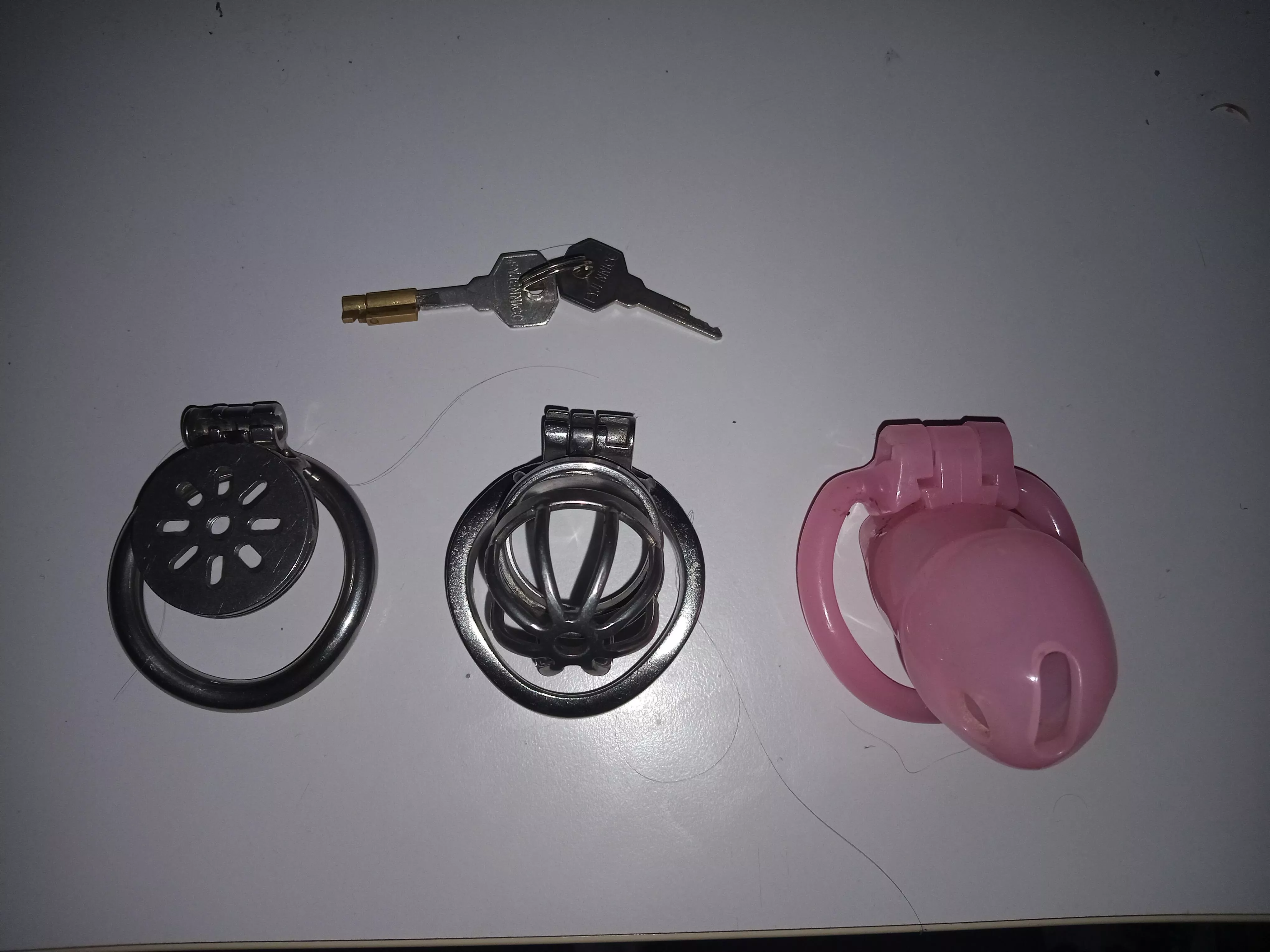 Which one should be my forever home? posted by __Insano__