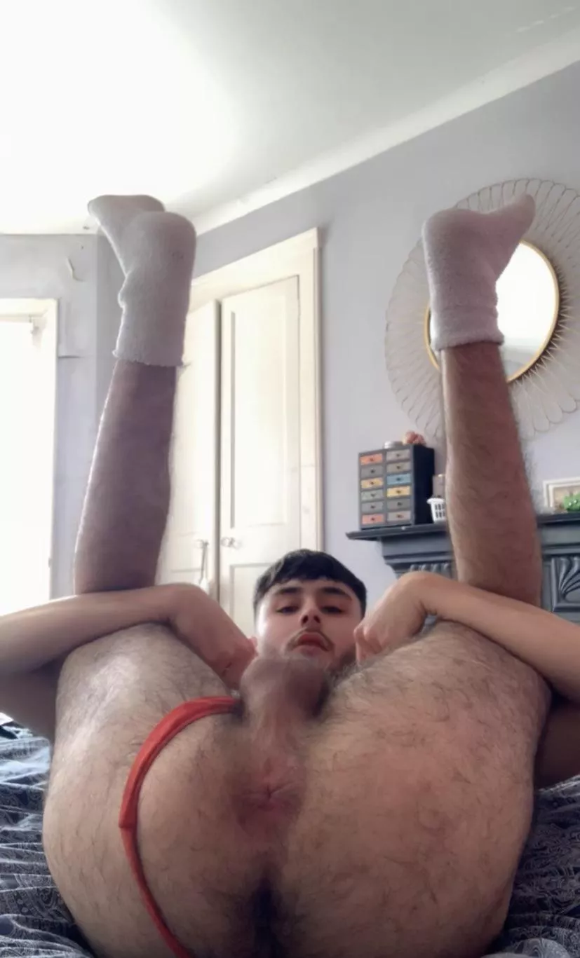 20 sub faggot so tempted to fuck my ass with my dildo just need a dom to control me! bell.harry03 posted by Fun_Albatross_2982