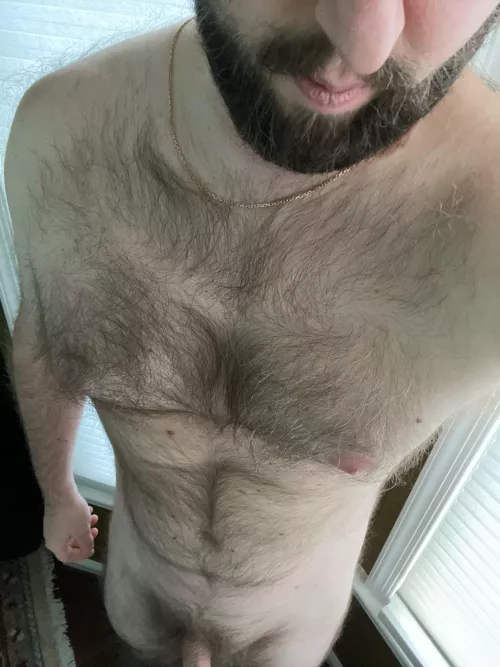 [36] hairy masculine looking to jerk with similar men by bryc244
