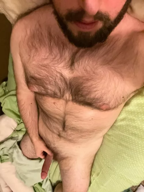 [36] hairy masculine looking to jerk with similar men by bryc244