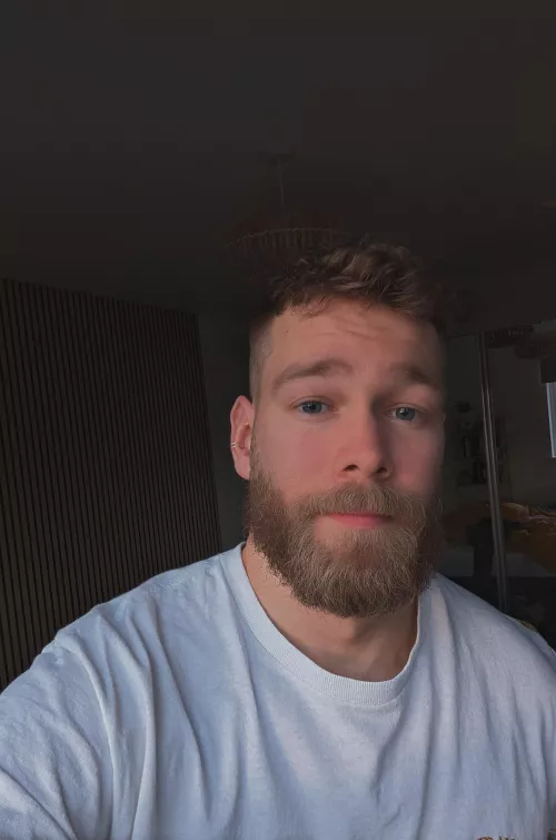 Back to a fade  by jhpf01