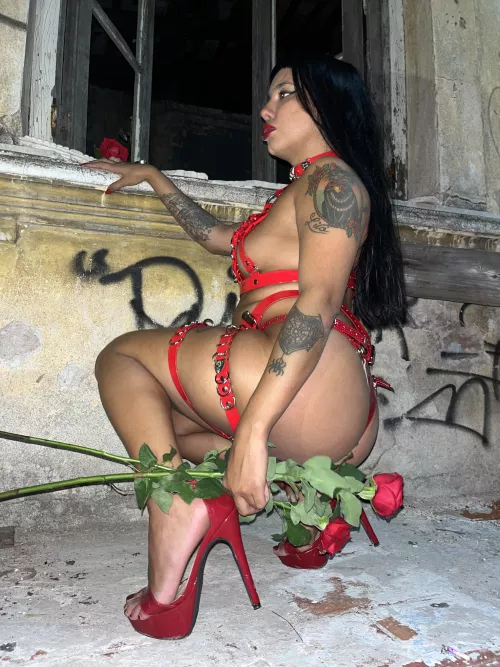 Do u believe in brunette supremacy?💋🌹 by MoliMyers