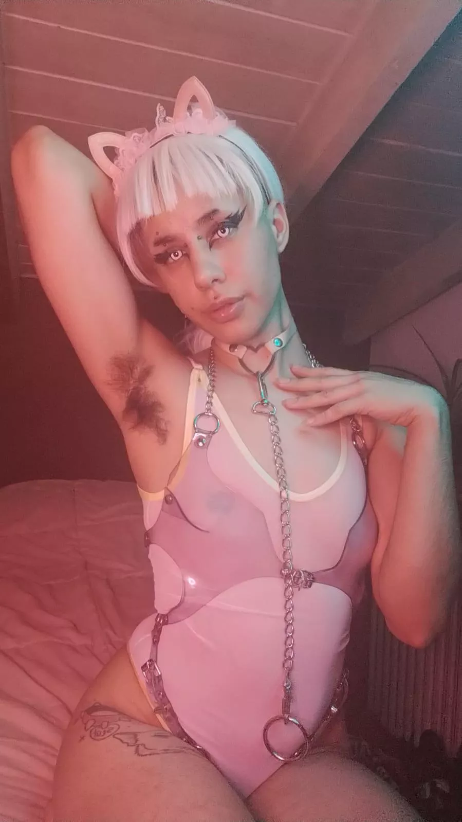 Hairy enough? posted by roto__