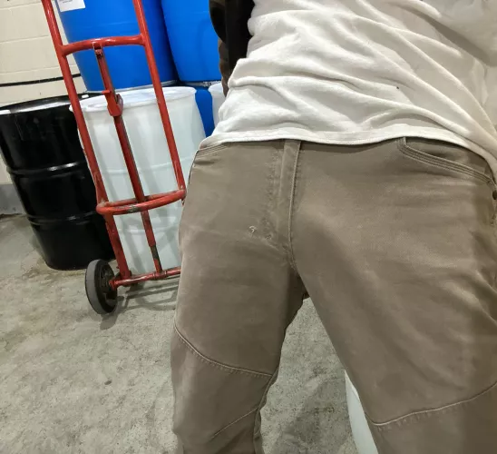 Hard at work [28] by No_Ability6206