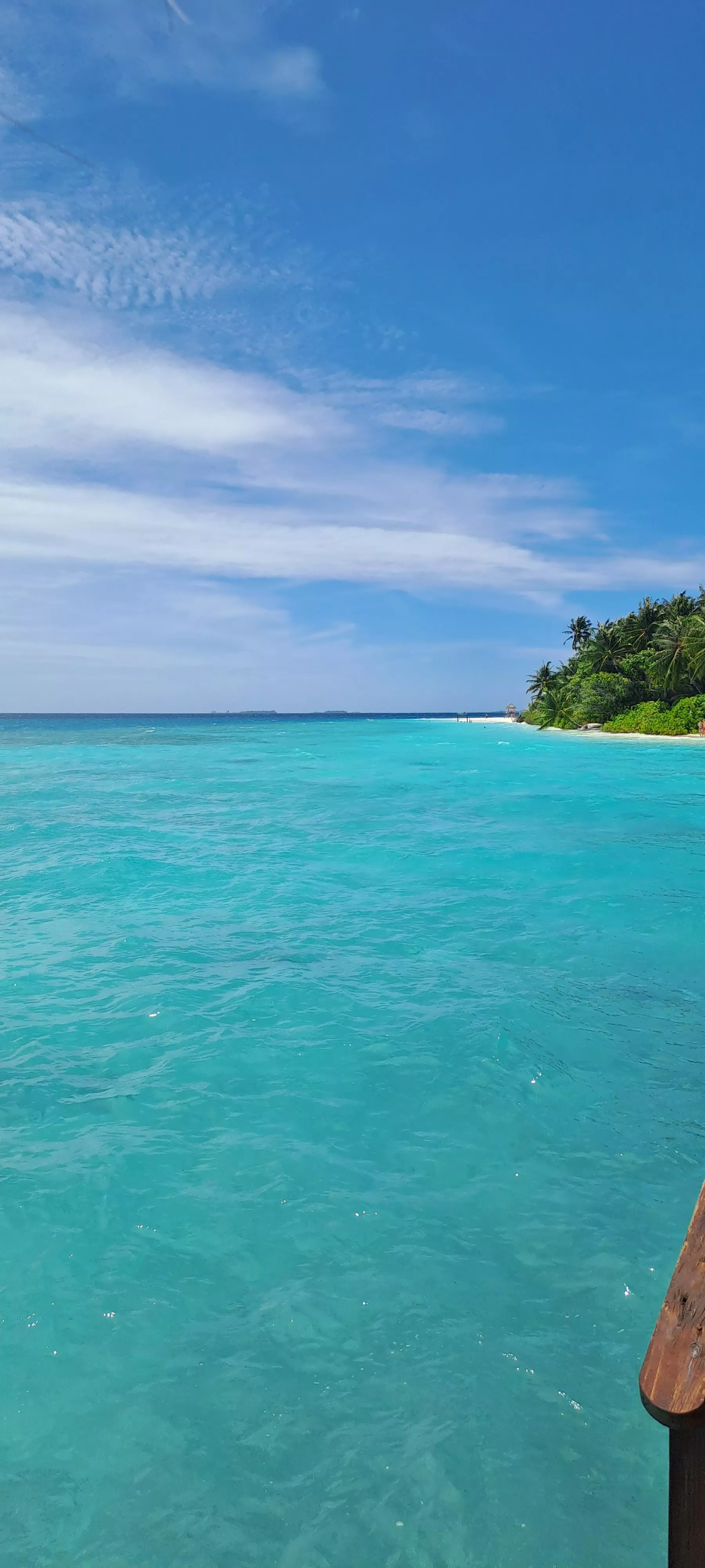 I see skies of blue, and clouds white bright bless day. What a wonderful world  posted by Eoln_Msuk