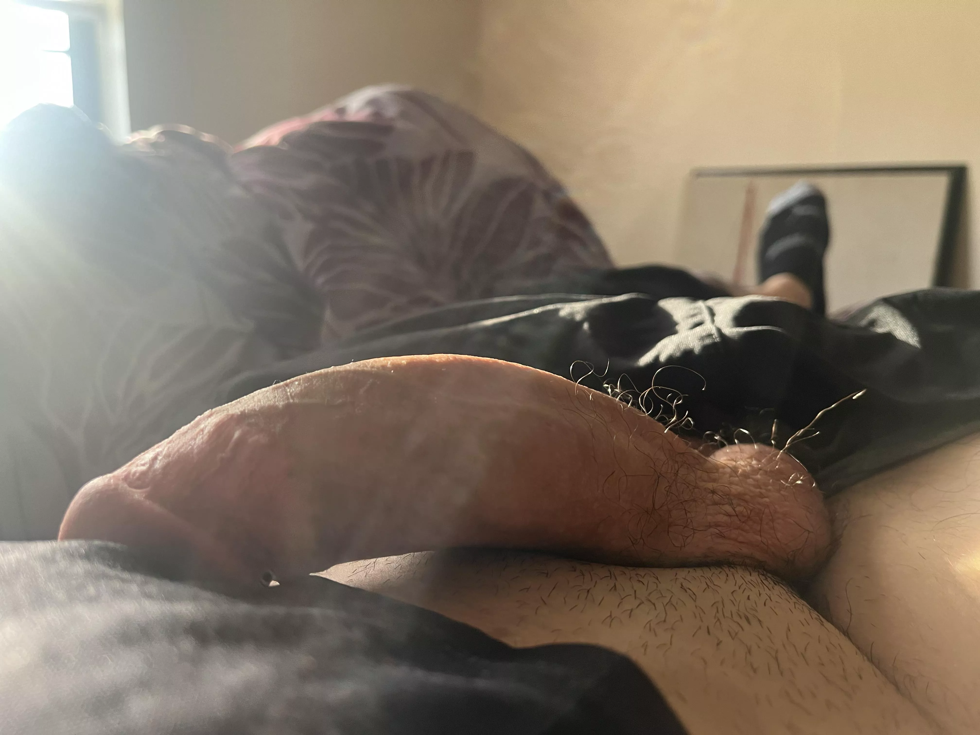 In a baby making mood today….. posted by Budget_Barnacle_9849