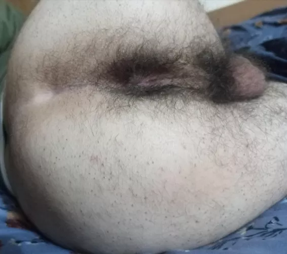 It's getting so hairy  by Practical_Phrase_720