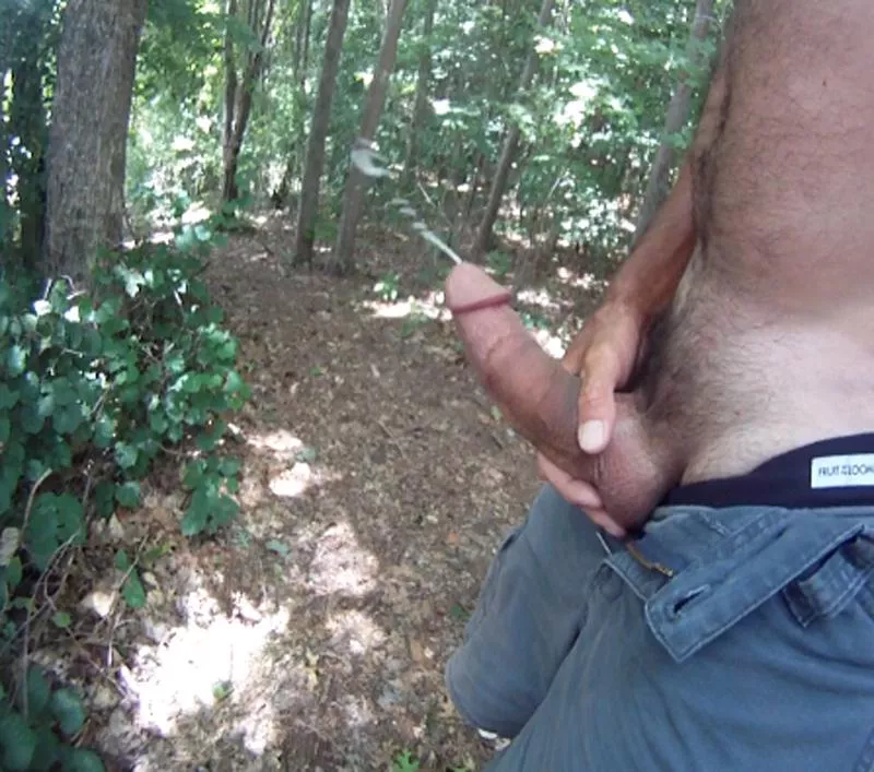 Little walk on the Trail posted by Well-Endowed9911