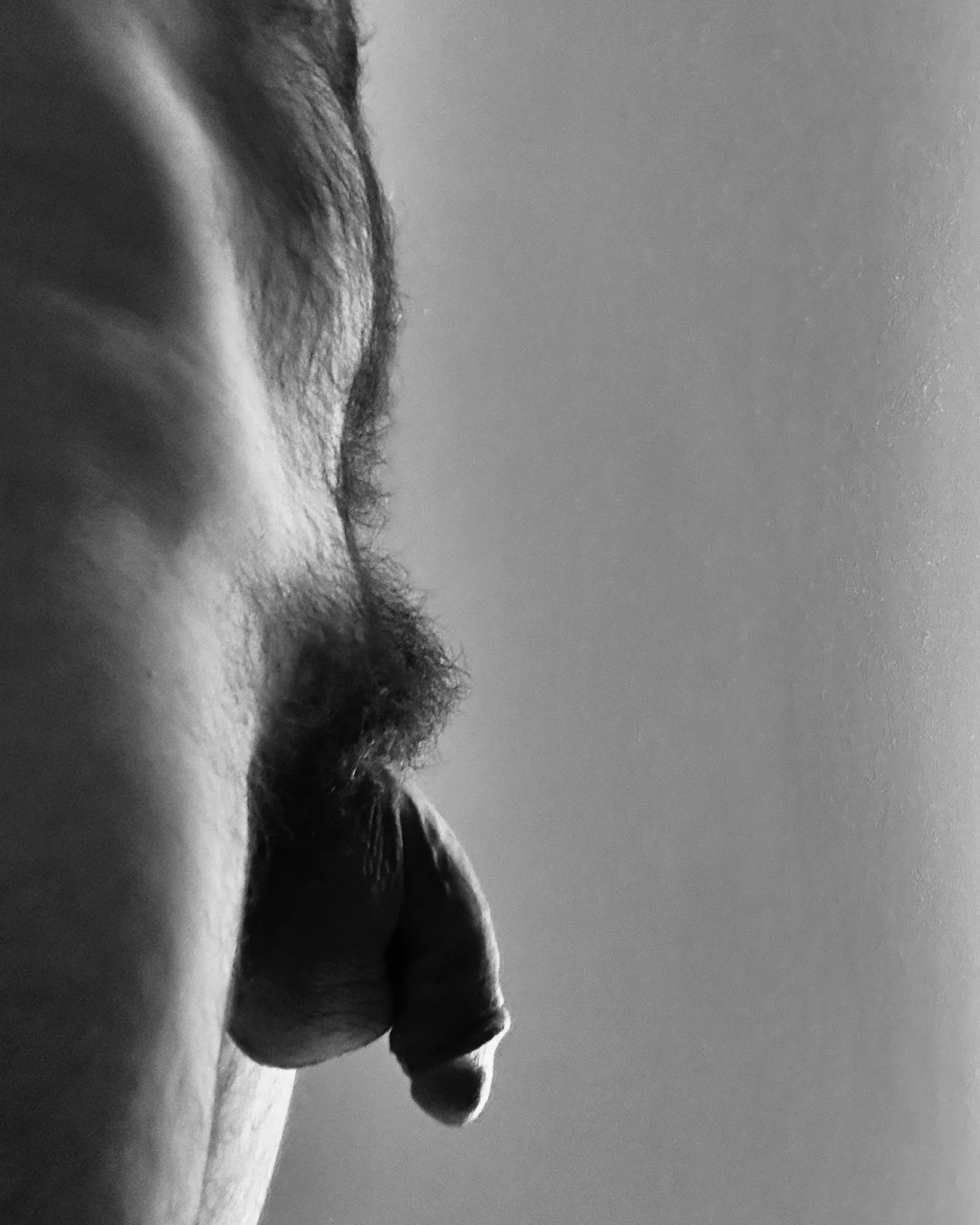 my hairy heavy hanging penis in b&w posted by jerseyjaxoff