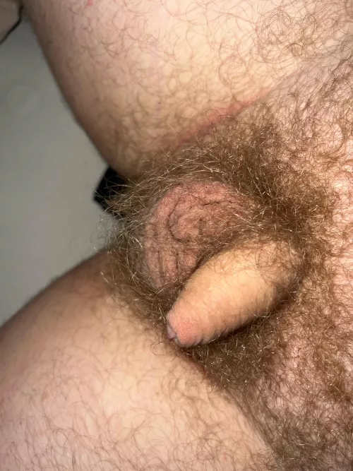 Now that’s real masculinity  by bushytang