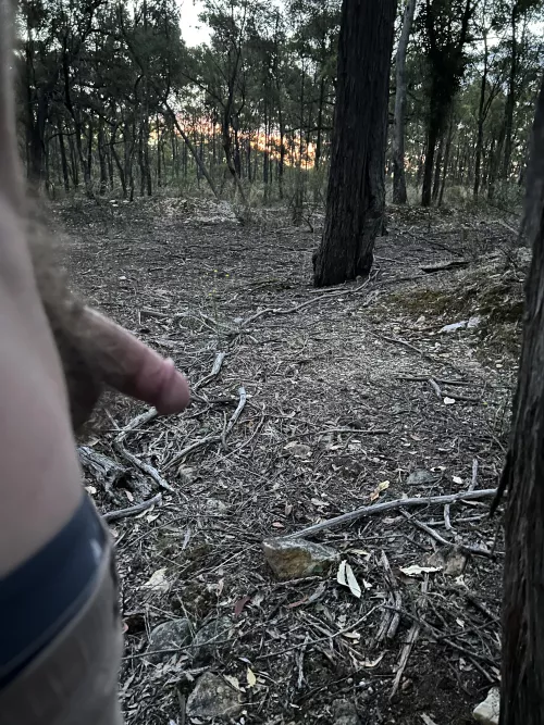 Outdoors by Fantastic-Nobody4365