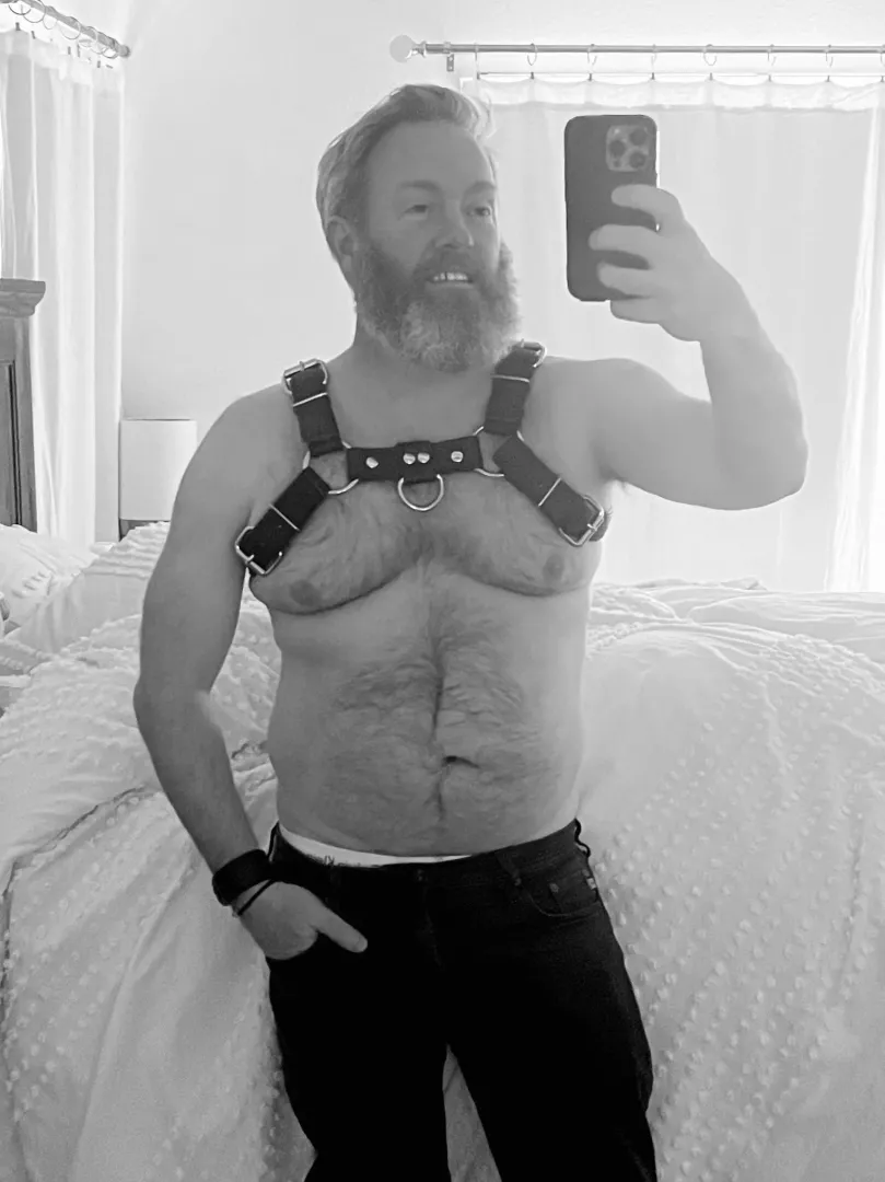 Purchased my first leather harness, was about time. What do you guys think? by No-Ad9965