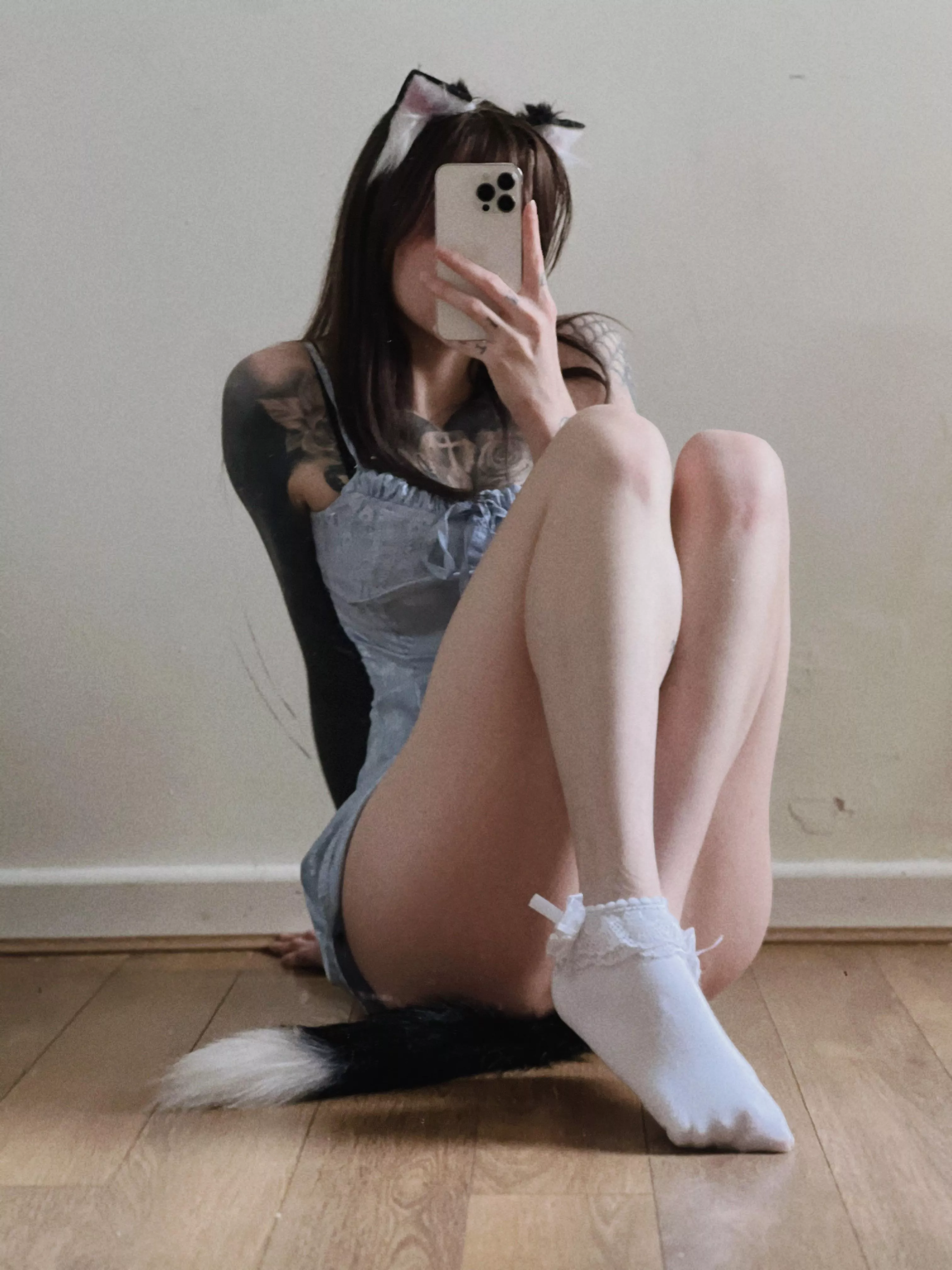 Up for adoption 🐾 posted by Ce_Luna