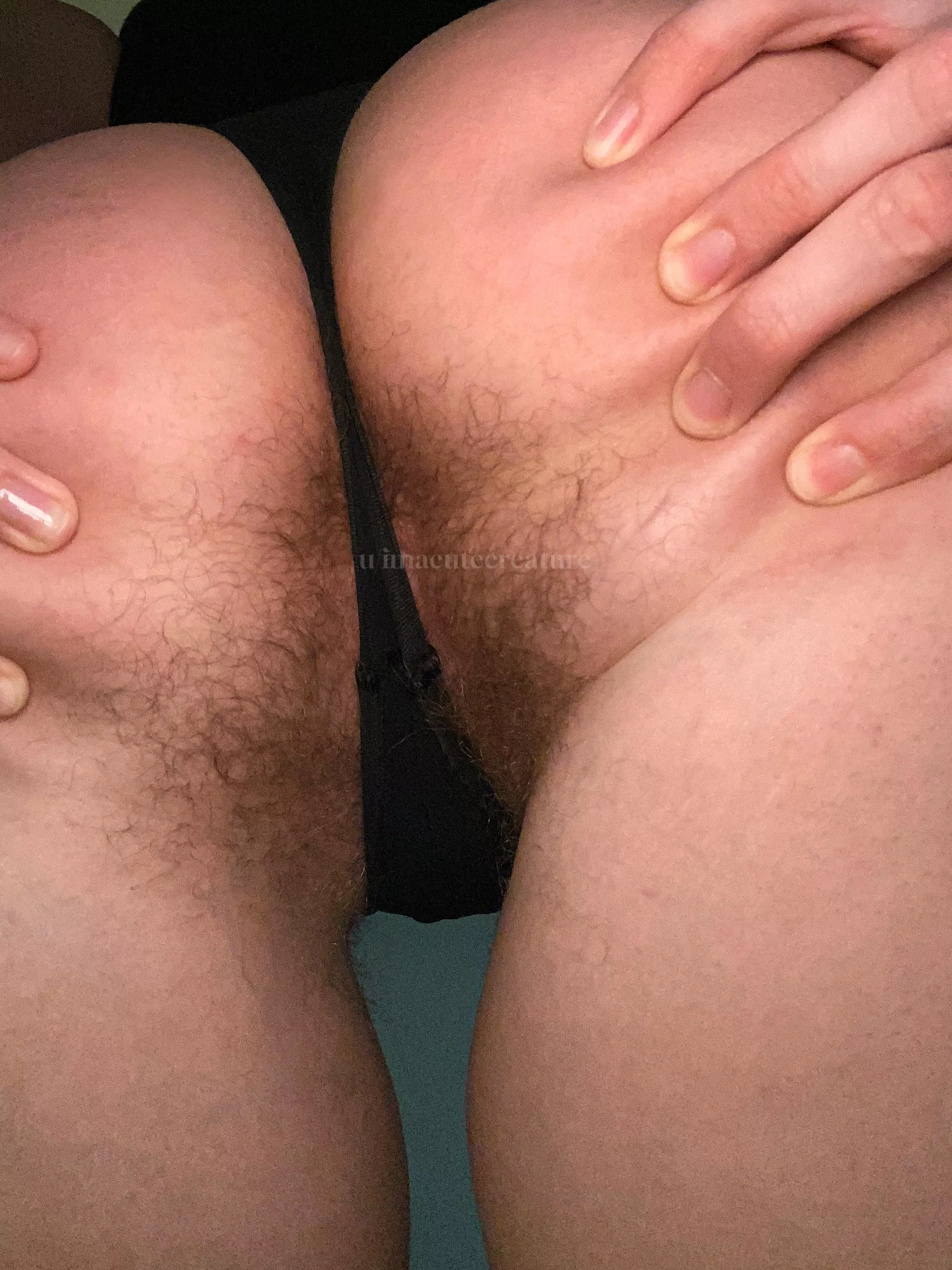 W[h]at will you do when I sit on your face? posted by imacutecreature_