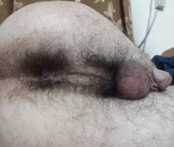 cum play with it  by Practical_Phrase_720