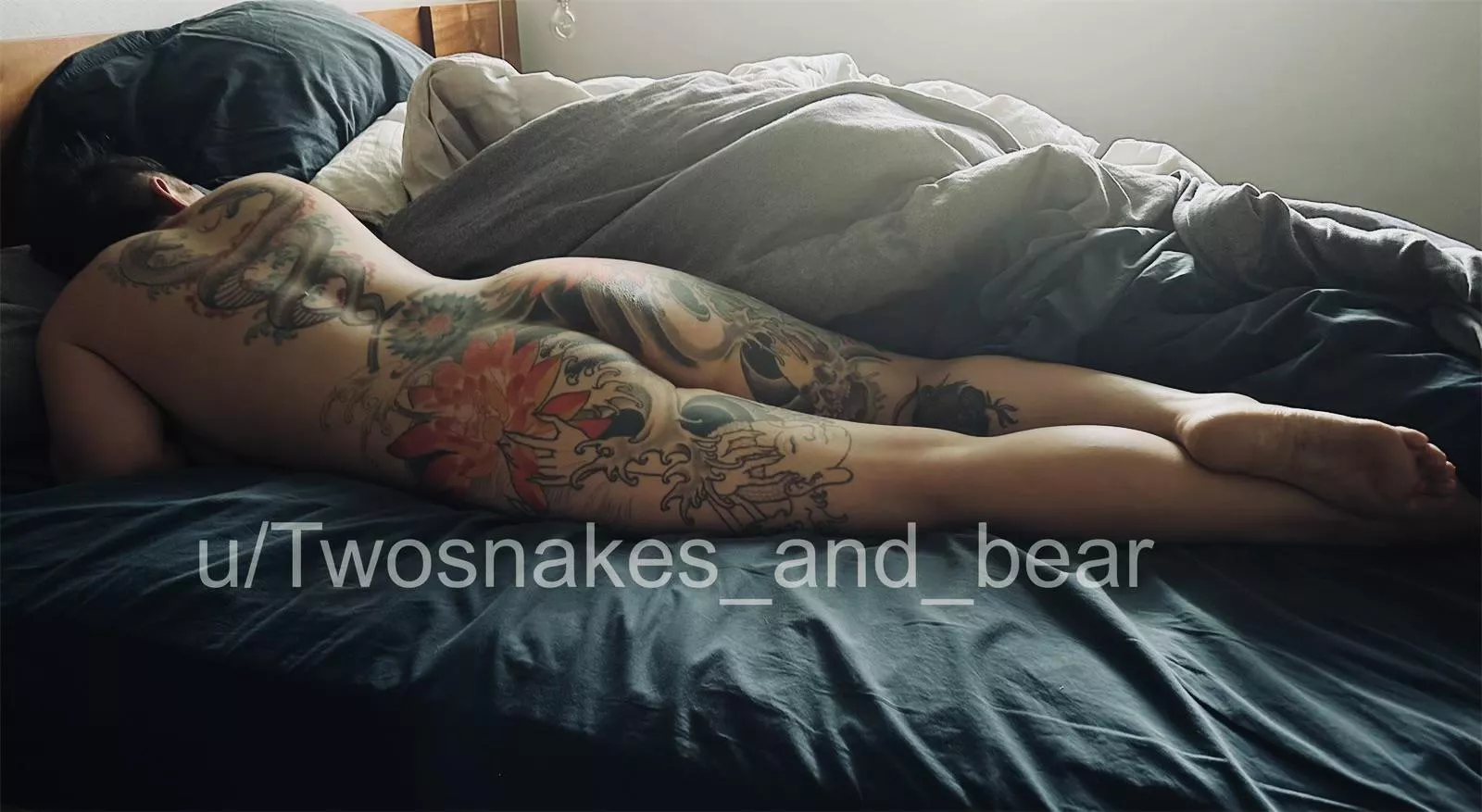 Dawn’s early light posted by Twosnakes_and_bear