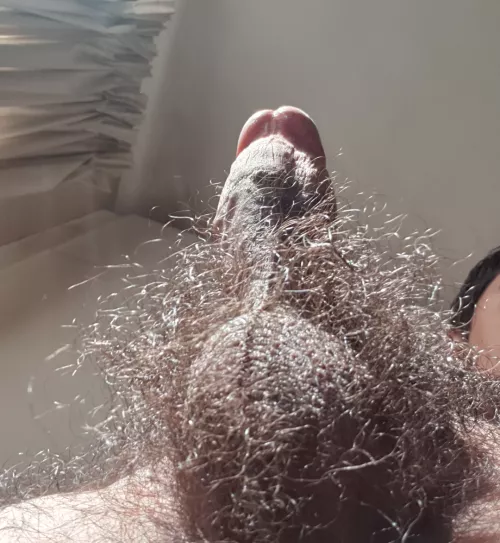 Hairiest you've ever seen by Agitated_Yellow_5531