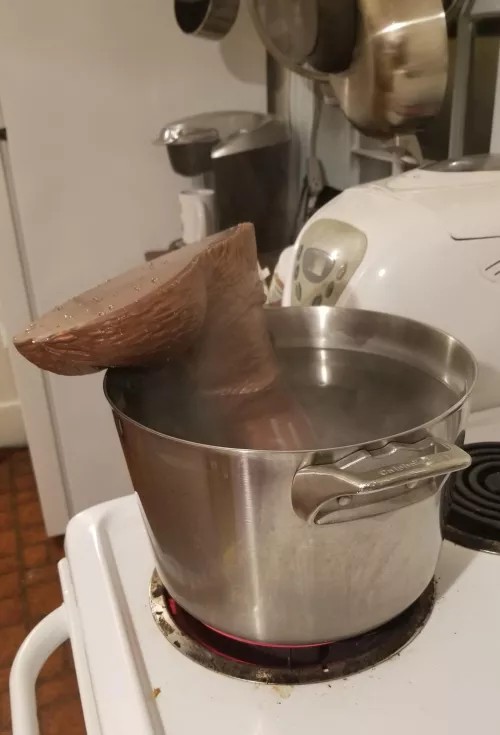 I need a bigger pot by Phaewryn