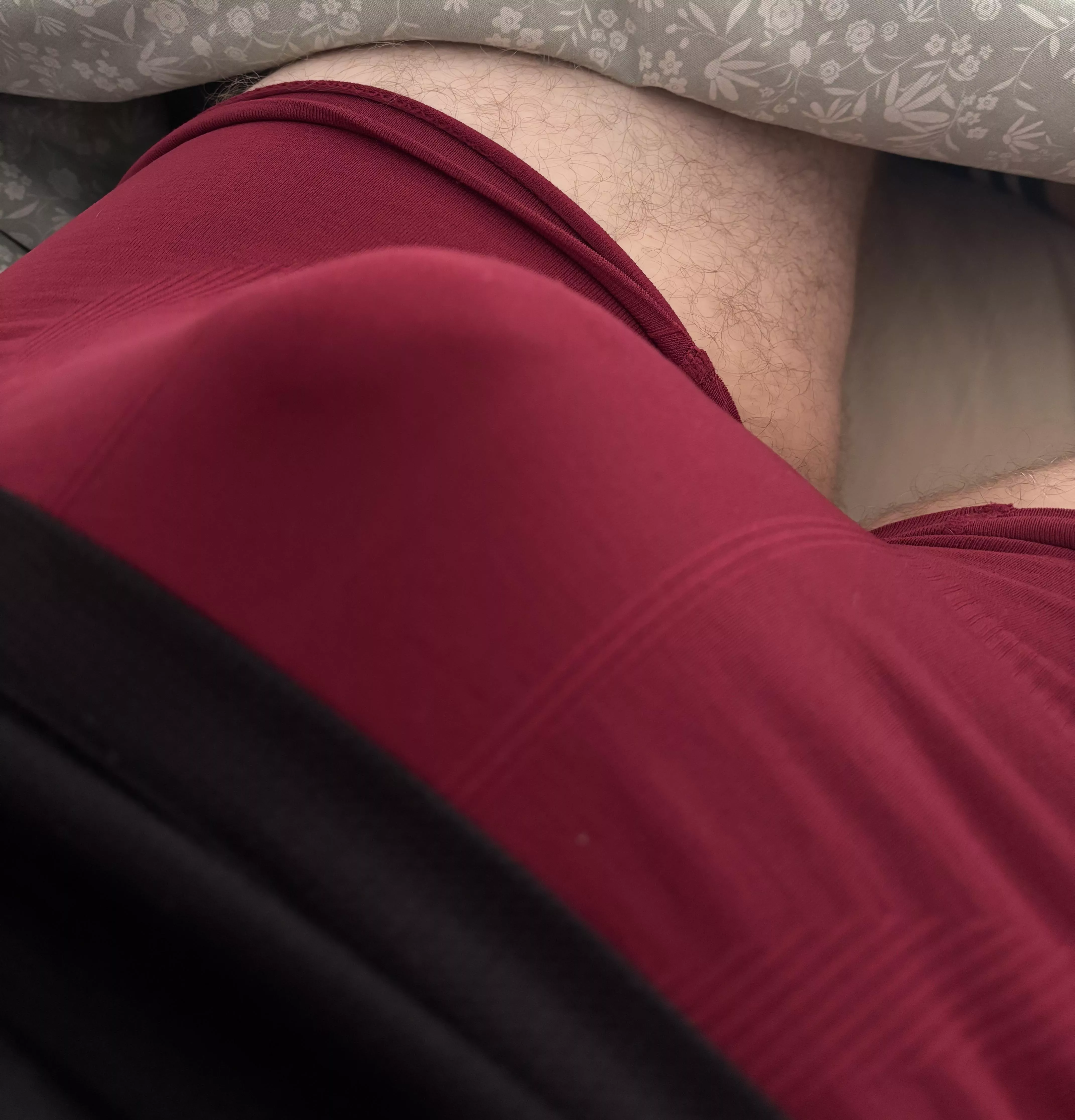 It was hard to choose a color today. Also anyone into bulges want to trade? posted by Repulsive_Hurry4593