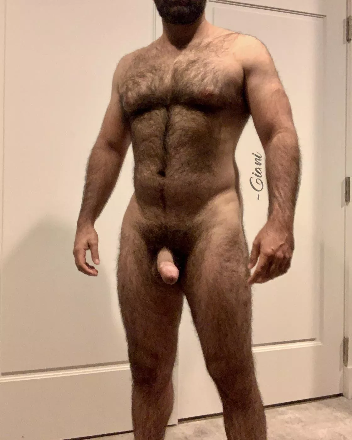 My buddy tells me his wife keeps telling him she wishes he was as hairy as me… posted by -Giani