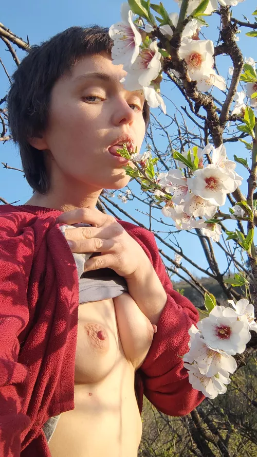 my garden is blooming, touch my little flowers by forest_nimph