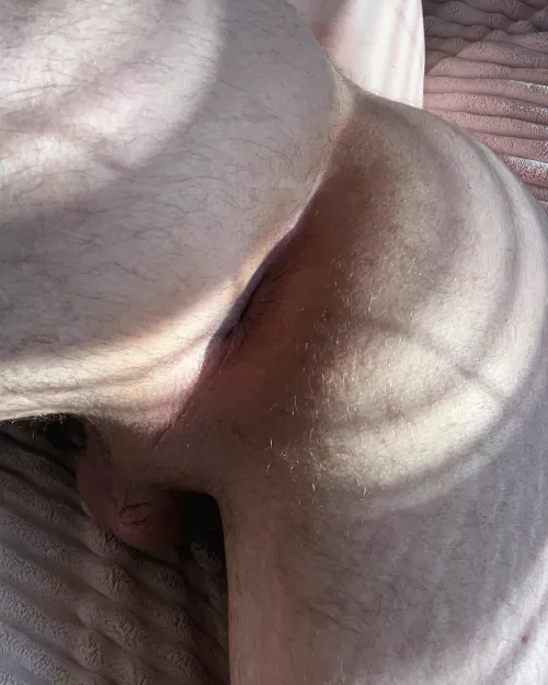 Need my morning stretch 😉 by BB4432