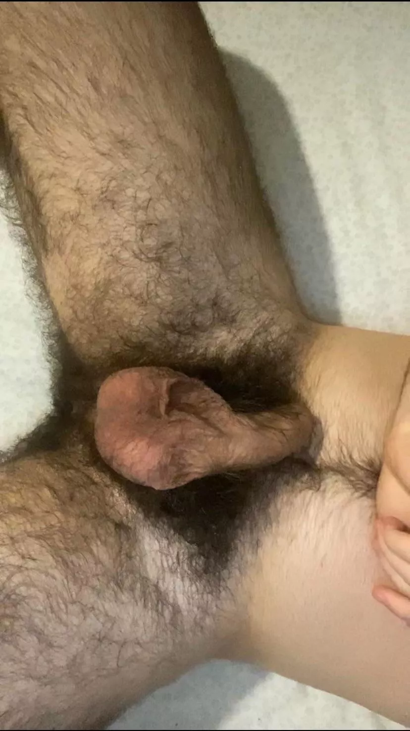 Not posted in a while here, how’re my pubes looking? posted by Comfortable-Pea-1930