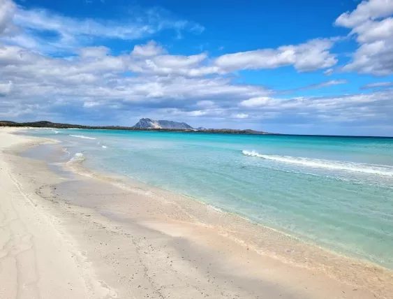 Paradise in one picture posted by Yopif