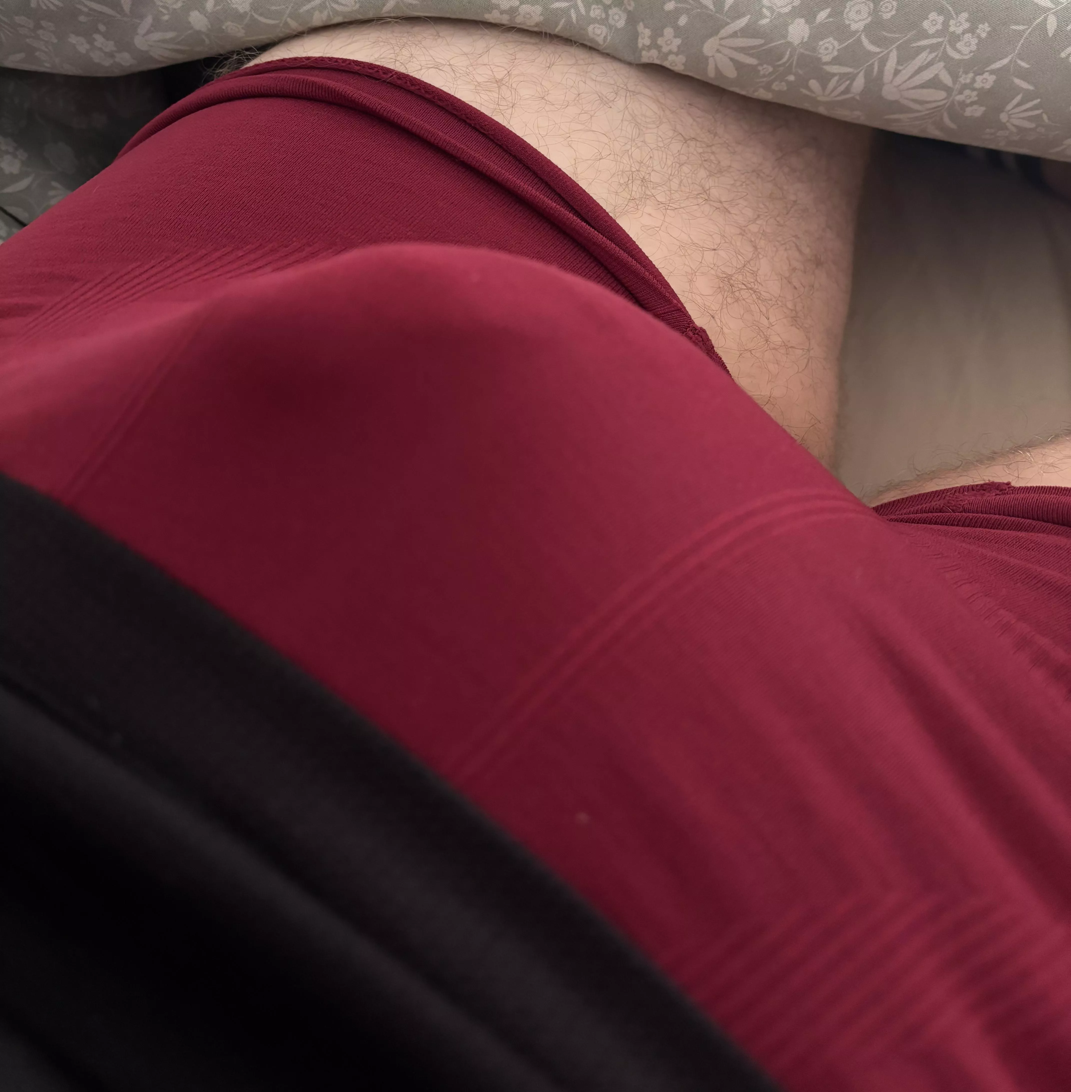 Someone into bulges as well? Send me a message  posted by Repulsive_Hurry4593