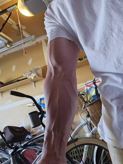 44 New Jersey by Kc1421