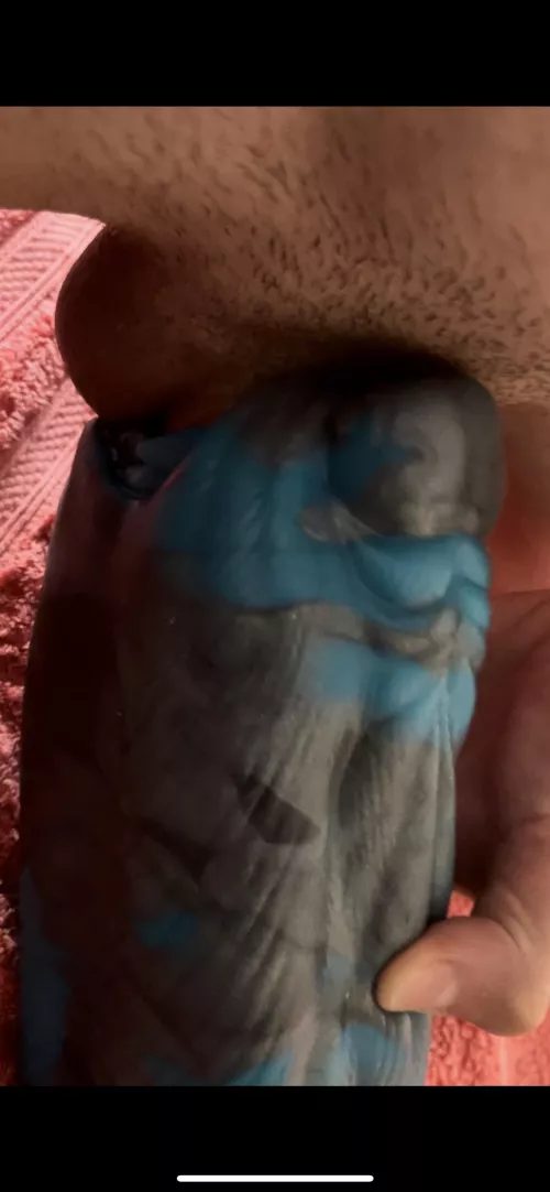 A little sneak peak of my bf enjoying his David muzzle 😁 by tayylortotttt-