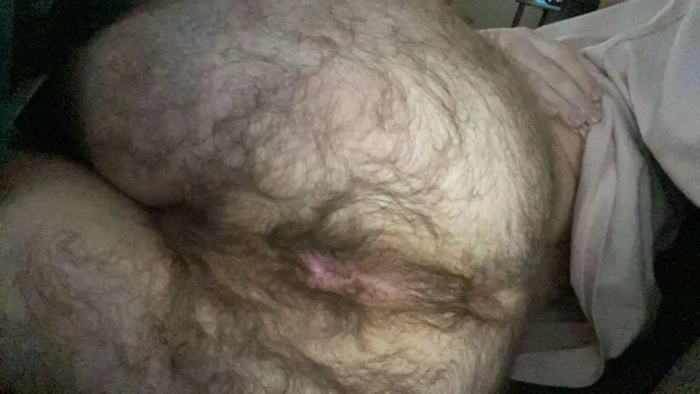 Big and hairy enough? posted by hollowbodies777