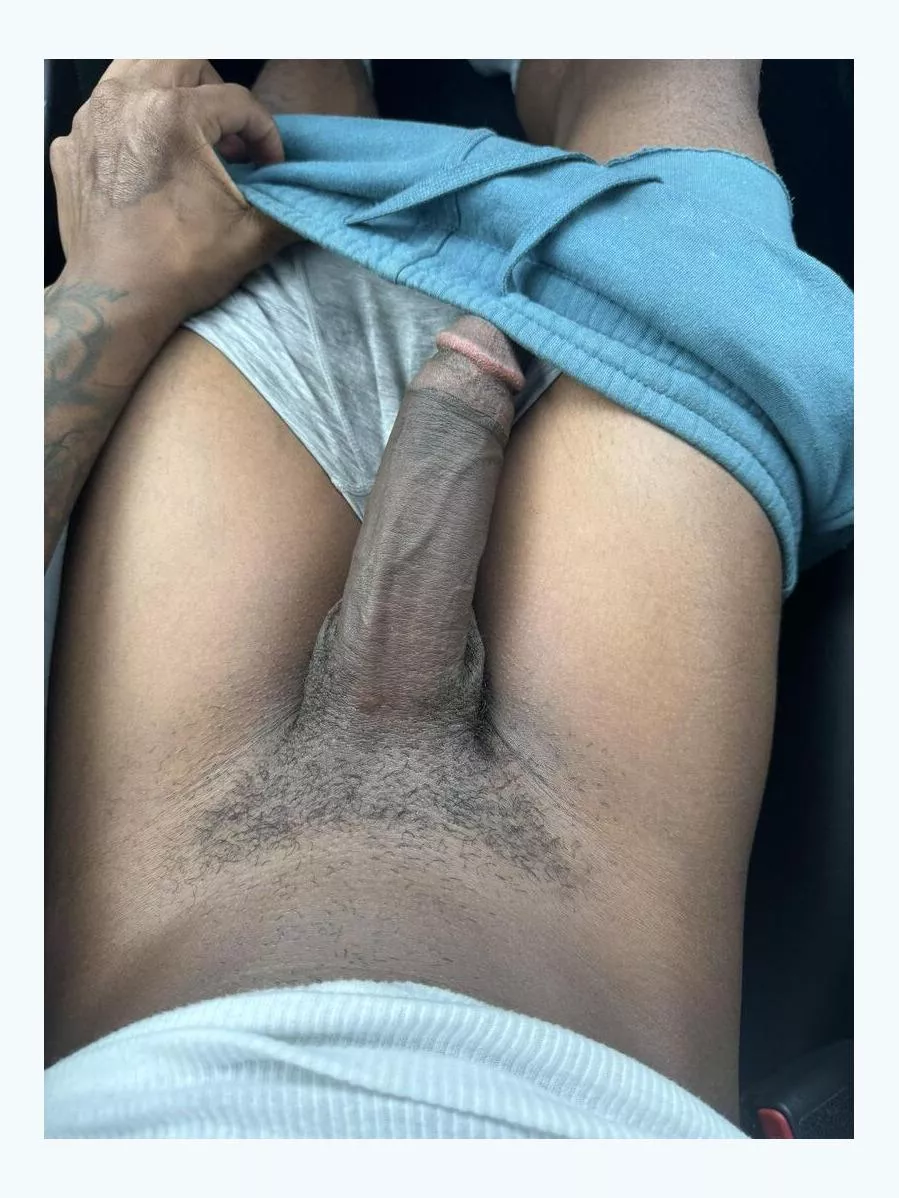 Cum take z seat 💦 posted by Muted_Road2025