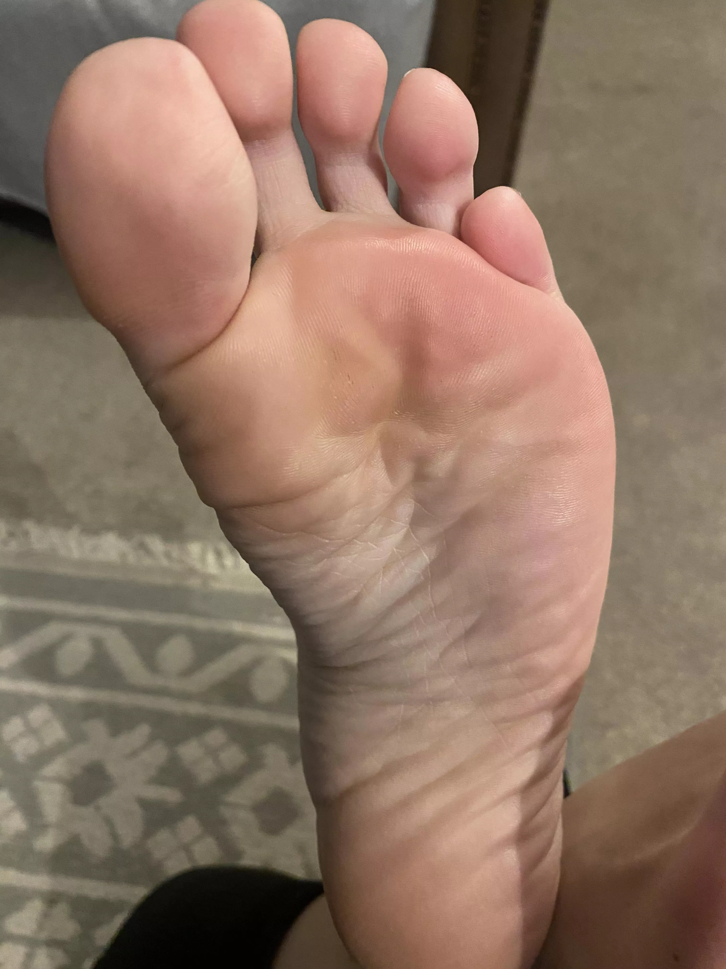 Do you want to sniff? posted by HauntingPurchase5914