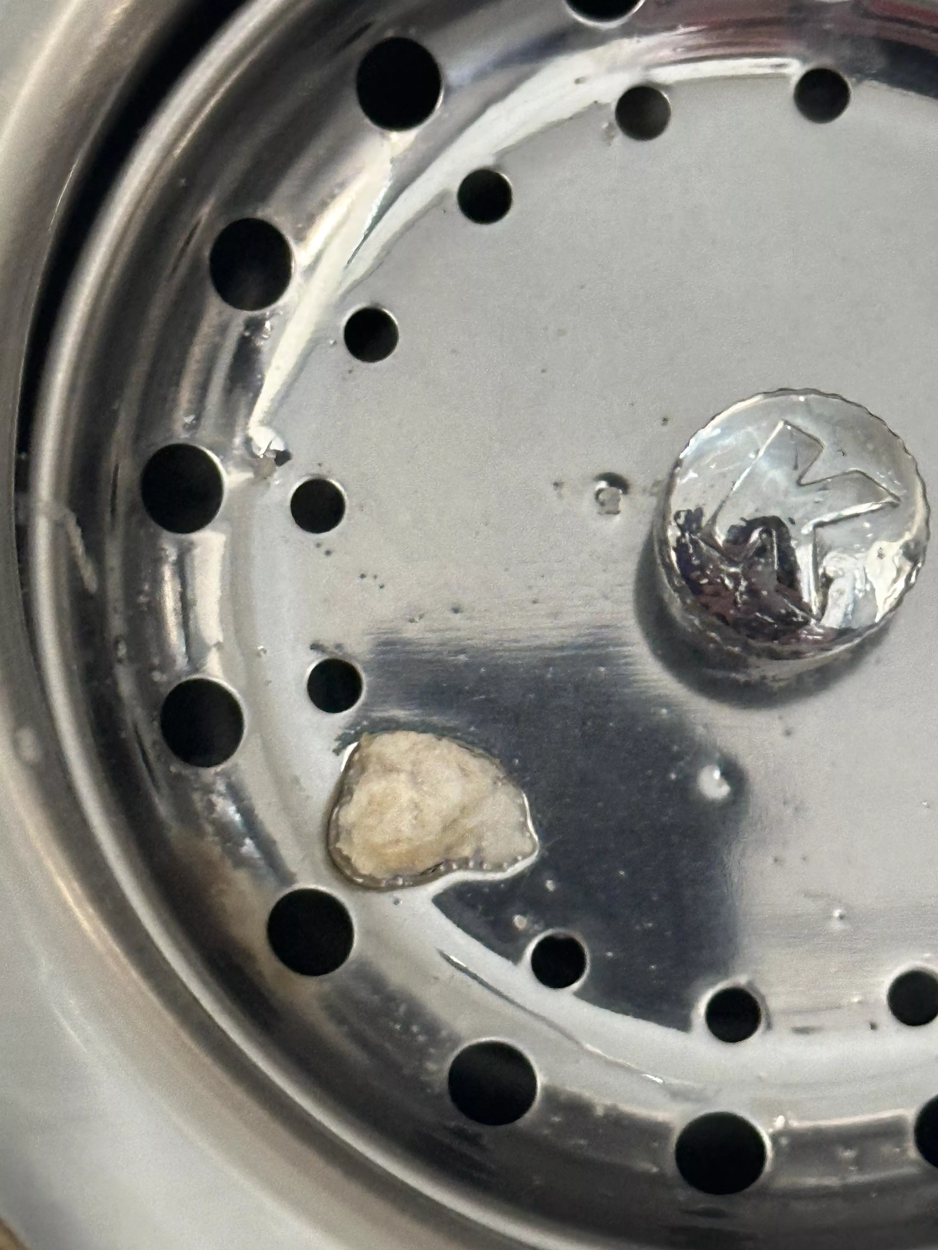 Double ear infections and the Dr flushed this out of one of my ears. posted by DeathCowboyZ